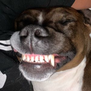 Meet your Posher, Moises